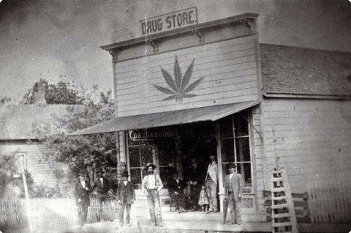 New York cannabis history